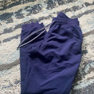 Jaanuu Deep Blue Jogger Pants